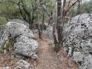 Un comme comme à Fontainebleau